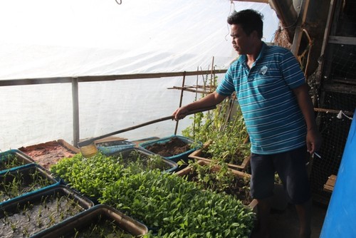 Рассказ о смотрителях маяков на островах Чыонгша - ảnh 3